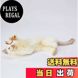 �y���������znecoco ���U�[�L����炵 �F�F�}���`�J���[�A�T�C�Y�FM
