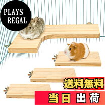 楽天市場】チンチラ飼育セットの通販