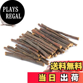 【送料無料】MUYYIKA りんごの木 かじり木 小動物 おやつ 噛むおもちゃ 極細枝 中枝 天然 無添加 無着色 ハムスター モルモット ウサギ リス ハリネズミに適しています サイズ：100g