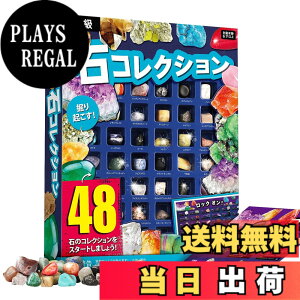 �y���������zXXTOYS �z�ΕW�{48�� �i�V���i���W�I�O���t�B�b�N�V�R�z�� ��΂������� ��ΕW�{ �N���X�}�X �v���[���g ���b�N���~�l���� �R���N�V���� �W�F���X�g�[�� �n���Ȋw�L�b�g 48�Z