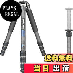�y���������zINNOREL CT-�V���[�Y �J�����O�r �J�[�{���O�r ��჌�t�O�r �F�F�O�r�̂݁A�T�C�Y�FCT85C