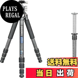 �y���������zINNOREL CT-�V���[�Y �J�����O�r �J�[�{���O�r ��჌�t�O�r �F�F�O�r�Ɖ_��L�b�g�A�T�C�Y�FCT75C