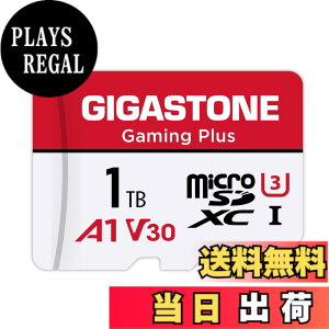 �y���������zGIGASTONE �}�C�N��sd�J�[�h 1TB-2-1 Core Group �F�F1TB Gaming Plus 1���Z�b�g�A�T�C�Y�F1TB