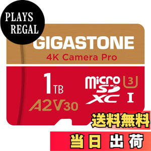 �y���������zGIGASTONE �}�C�N��sd�J�[�h 1TB-4-1 Core Group �F�F1TB Camera Pro 1���Z�b�g�A�T�C�Y�FPro Series