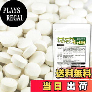 �y���������z�V�R���� ���K���� ��4������ (�e) �T�C�Y�F��4������