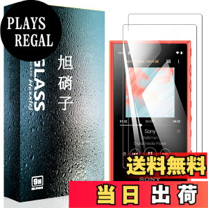 �y���������z�t�B���� �T�C�Y�F�y2���Z�b�g�zNW-A100-H2-C