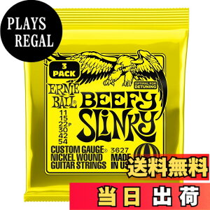 �y���������z�y���K�i�z ERNIE BALL �G���L�M�^�[�� SLINKY �F�F�r�[�t�B�[(11-54)�A�T�C�Y�F11-54