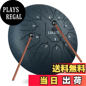 �y���������z�X���b�g�h���� �X�`�[���^���O�h���� LEKATO �����h���� 11�� 6�C���` �Ŋy�� �}���b�g ���[�o�b�O�t�� �ґz ���K �T �F�F�l�C�r�[�u���[ 10�C���`