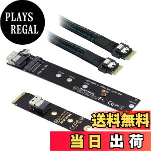 �y���������zXiwai NGFF M-Key NVME�I�X-���X�����P�[�u��40cm�ASFF-8654�R�l�N�^�A���C���{�[�hSSD 2280/22110�p �F�FBlack