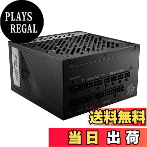 �y���������zMSI PC�d�����j�b�g 850W/750W/650W �T�C�Y�F1000W
