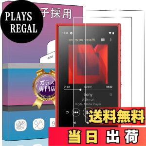 �y���������zPCduoduo�t�B���� �����K���X �F�F2�� Sony NW-A100 /NW-A300�A�T�C�Y�F2�� Sony NW-A100 /NW-A300