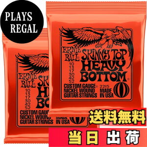 �y���������z�y���K�i�z ERNIE BALL �G���L�M�^�[�� SLINKY �F�F�X�L�j?�g�b�v�E�w�r�[�{�g��(10-52)�A�T�C�Y�F10-52