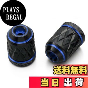 �y���������z�f�C�g�i(Daytona) PREMIUM ZONE(�v���~�A���]�[��) �o�C�N�p �o�[�G���h TECHNO/BRICK/KIRIKO/�X�N���b�` �F�F�u���[�A�T�C�Y�F���}�n(M6)