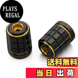 �y���������z�f�C�g�i(Daytona) PREMIUM ZONE(�v���~�A���]�[��) �o�C�N�p �o�[�G���h TECHNO/BRICK/KIRIKO/�X�N���b�` �F�F�S�[���h�A�T�C�Y�F�z���_(M6)