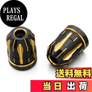 �y���������z�f�C�g�i(Daytona) PREMIUM ZONE(�v���~�A���]�[��) �o�C�N�p �o�[�G���h TECHNO/BRICK/KIRIKO/�X�N���b�` �F�F�S�[���h�A�T�C�Y�F�z���_(M6)