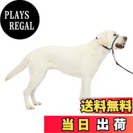 【送料無料】PetSafe（ペットセーフ） ジェントルリーダー 引っ張り防止 ヘッドカラー 犬用 散歩トレーニ…