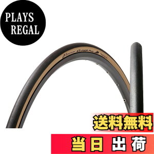 �y���������z�p�i���[�T�[(Panaracer) �N���[�U�[�v���X CLOSER PLUS 700x25C �N�����`���[ ��/�A���o�[ F725-CLSP-LX �F�F�A���o�[�A�T�C�Y�F700x25C (25-622)