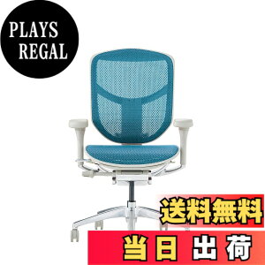 �y���������z�G���S�q���[�}��2(ergohuman2) �I�t�B�X�`�F�A ENJOY �G���W���C �F�F���b�V��:�O���[ / �t���[��:�O���[�A�T�C�Y�F���[�^�C�v