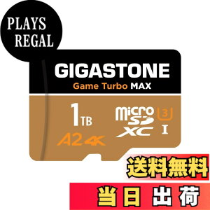 �y���������zGIGASTONE �}�C�N��sd�J�[�h Blackgold 2026 Group 1 �F�F1TB Game Turbo MAX 1-Pack