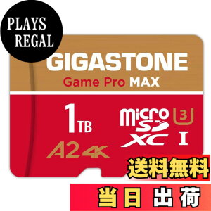 �y���������zGIGASTONE �}�C�N��sd�J�[�h Redgold-64-4-1-Group �F�F1TB Game Pro Max 1���Z�b�g�A�T�C�Y�F1TB Game Pro Max 1���Z�b�g