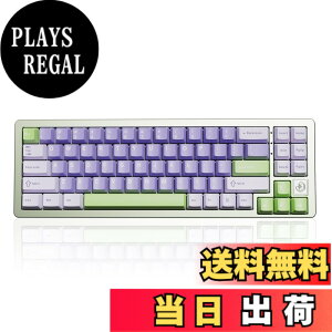 �y���������zYUNZII AL71 68% �Q�[�~���O�L�[�{�[�h �t���A���~CNC �z�b�g�X���b�v�Ή� ���� �K�X�P�b�g ���J�j�J���L�[�{�[�h NKRO 2.4GHz���C�����XBT5.0/USB-C �L�� RGB�o�b�N���C�g Win/Mac�p �����蕨