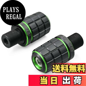 �y���������z�f�C�g�i(Daytona) PREMIUM ZONE(�v���~�A���]�[��) �o�C�N�p �o�[�G���h TECHNO/BRICK/KIRIKO/�X�N���b�` �F�F���C���O���[���A�T�C�Y�F�J���T�L(M17)
