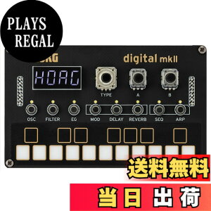 �y���������zKorg Synth Parent 2024 �F�F�u���b�N�A�T�C�Y�FNTS1DIGITAL2