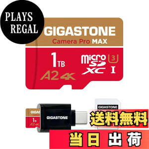 �y���������zGIGASTONE �}�C�N��sd�J�[�hGoldRed GP 1 �F�F1TB Camera Pro MAX 1��+Type C�J�[�h���[�_�[�A�T�C�Y�F1TB Camera Pro MAX 1��+Type C�J�[�h���[�_�[