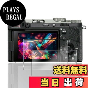 �y���������z�Ή� �K���X�t�B���� + �J�����t�B���� �y�d�x9H�z �����K���X Touch�Ή� �A��U�h�~ �A�Ռ��z�� �A�w��h�~ �A�ȒP�\��t�� �F�F�N���A 9H�����K���X�A�T�C�Y�F�Ή� SONY a7c ii