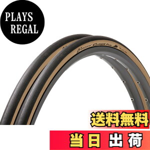 �y���������z�y���ʔŁz2�{�Z�b�g �p�i���[�T�[(Panaracer) �N���[�U�[�v���X CLOSER PLUS 700x25C �N�����`���[ ��/�A���o�[ F725-CLSP-LX-2P �F�F�A���o�[�A�T�C�Y�F700x25C (25-622)