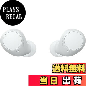 �y���������z�\�j�[(SONY) ���S���C�����X�C���z�� WF-C500/WF-C510 :/�����x�ʘb�i��/IPX4�h�H���\ �F�F�z���C�g�A�T�C�Y�F���^�y��