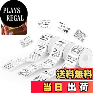 �y���������zNIIMBOT ���x���V�[���y3���[���zB1/B1Pro/B2/B2Pro/B21/B21Pro/B31���x�����[�J�[�Ή� �������M���[���� ���M���x���v�����^�[ ����p�� ���S�� �ϐ� �F�F40*30 �z���C�g�A�T�C�Y�F40x30mm