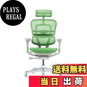�y���������z�G���S�q���[�}��2(Ergohuman2) �I�t�B�X�`�F�A �F�F�t���[��:GRAY / ���b�V��:GREEN�A�T�C�Y�F�n�C�^�C�v