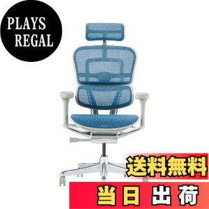�y���������z�G���S�q���[�}��2(Ergohuman2) �I�t�B�X�`�F�A �F�F�t���[��:GRAY / ���b�V��:BLUE�A�T�C�Y�F�n�C�^�C�v