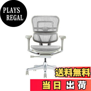 �y���������z�G���S�q���[�}��2(Ergohuman2) �I�t�B�X�`�F�A �F�F�t���[��:GRAY / ���b�V��:WHITE�A�T�C�Y�F���[�^�C�v
