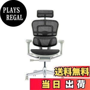 �y���������z�G���S�q���[�}��2(Ergohuman2) �I�t�B�X�`�F�A �F�F�t���[��:GRAY / ���b�V��:BLACK�A�T�C�Y�F�n�C�^�C�v
