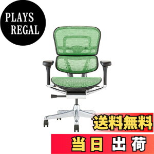�y���������z�G���S�q���[�}��2(Ergohuman2) �I�t�B�X�`�F�A �F�F�t���[��:BLACK / ���b�V��:GREEN�A�T�C�Y�F���[�^�C�v