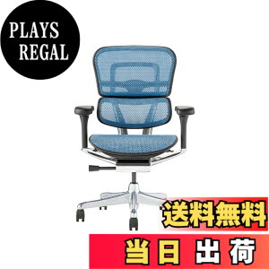 �y���������z�G���S�q���[�}��2(Ergohuman2) �I�t�B�X�`�F�A �F�F�t���[��:BLACK / ���b�V��:BLUE�A�T�C�Y�F���[�^�C�v