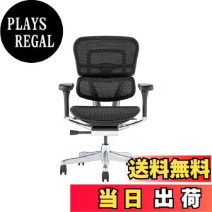 �y���������z�G���S�q���[�}��2(Ergohuman2) �I�t�B�X�`�F�A �F�F�t���[��:BLACK / ���b�V��:BLACK�A�T�C�Y�F���[�^�C�v