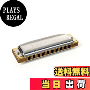 �y���������zHOHNER �z�[�i�[ Blues Harp 532/20P �F�F�V���o�[�A�T�C�Y�F10