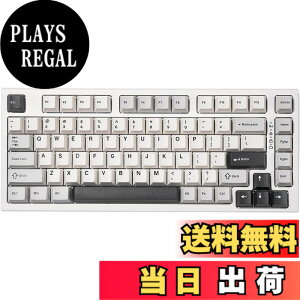 �y���������zYUNZII YZ75 75% �z�b�g�X���b�v�Ή����C�����X�Q�[�~���O�L�[�{�[�h RGB�o�b�N���C�g BT5.0/2.4G/USB-C�ADye Sub PBT�L�[�L���b�v Linux/Win/Mac�p �Z�K�F�؎擾 �F�F�z���C�g�A�T�C�Y�F�K�e��