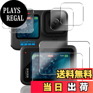 �y���������z�K���X�t�B���� �J�����t�B���� �P�[�X �N���A �F�F����A�T�C�Y�F�Ή� Gopro Hero 12 Black