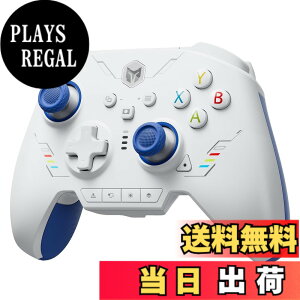 �y���������zBIGBIG WON ���C�����X�R���g���[���[ �F�F6.Rainbow2SE-Blue