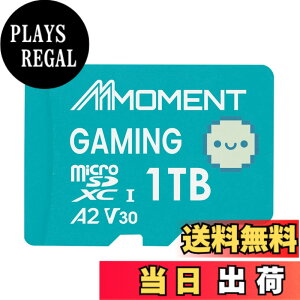 �y���������zMMOMENT A1V30 / A2V30 / Lite/PRO/EXPRESS MicroSDXC�J�[�h �T�C�Y�F1TB