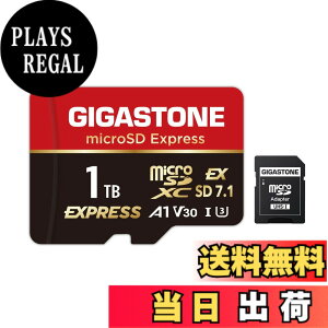 �y���������zGIGASTONE �}�C�N��sd�J�[�h 1TB-14-1 Core Group �T�C�Y�F1TB microSD Express 1���Z�b�g