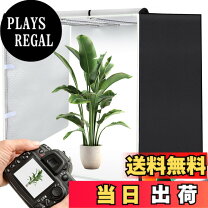 楽天市場】撮影ボックス 80の通販