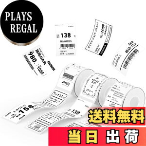 �y���������zNIIMBOT ���x���V�[���y3���[���zB1/B1Pro/B2/B2Pro/B21/B21Pro/B31���x�����[�J�[�Ή� �������M���[���� ���M���x���v�����^�[ ����p�� ���S�� �ϐ� �F�F40*70 �z���C�g�A�T�C�Y�F40x70mm