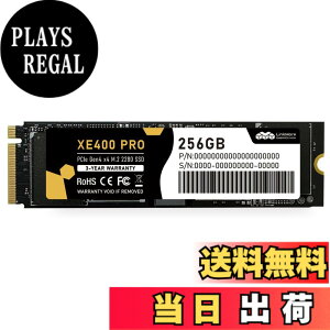 �y���������zLinkMore Gen4 PCIe 4.0 NVMe SSD �F�FPCIe4.0-XE400 PRO�A�T�C�Y�F256GB