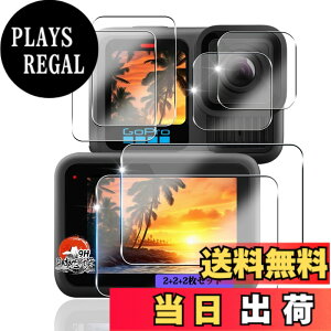 �y���������z�p �K���X�t�B���� + �J�����t�B���� �t�� �K���X �ϏՌ� �d�x9H �S�ʕی� �ȒP�\��t�� �F�F�N���A�A�T�C�Y�F�Ή� gopro hero 13 black