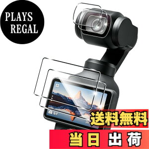 �y���������z�p �K���X�t�B���� + �J�����t�B���� �t�� �K���X �ϏՌ� �d�x9H �S�ʕی� �ȒP�\��t�� �F�F�N���A�A�T�C�Y�F�Ή� DJI OSMO Pocket 4